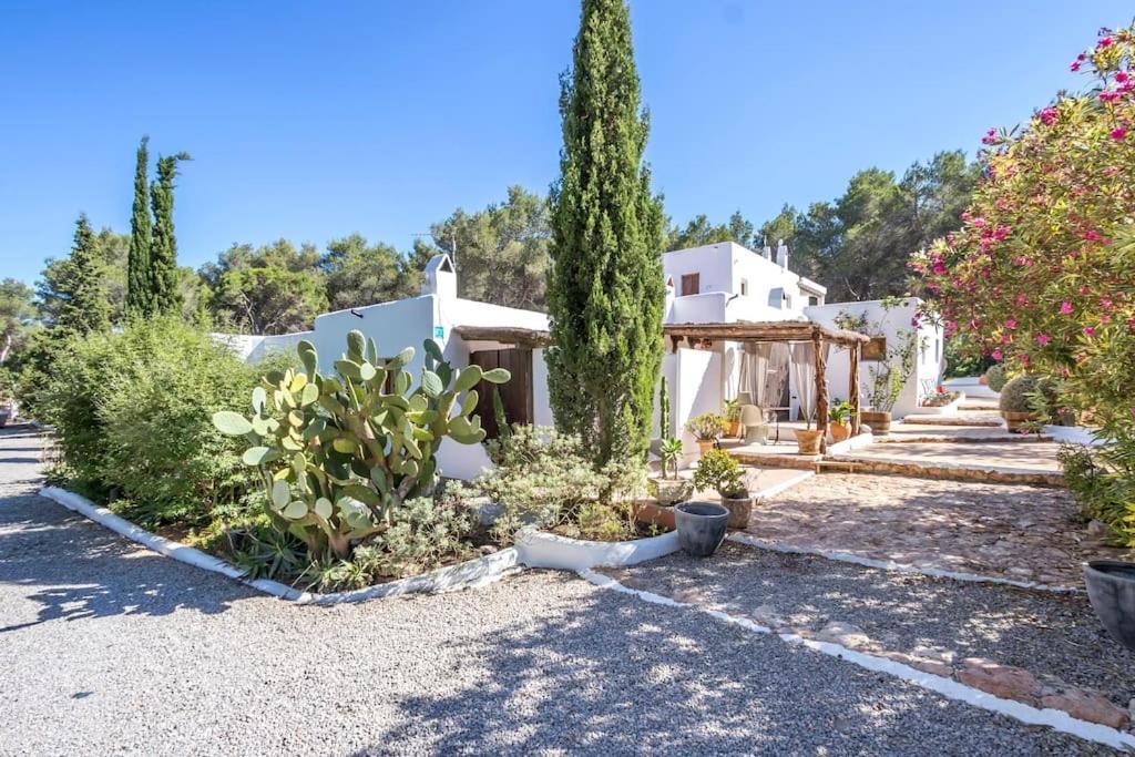 Casa Rosada - Gorgeous Family Finca Near Santa Gertrudis Villa Santa Gertrudis  Exterior photo